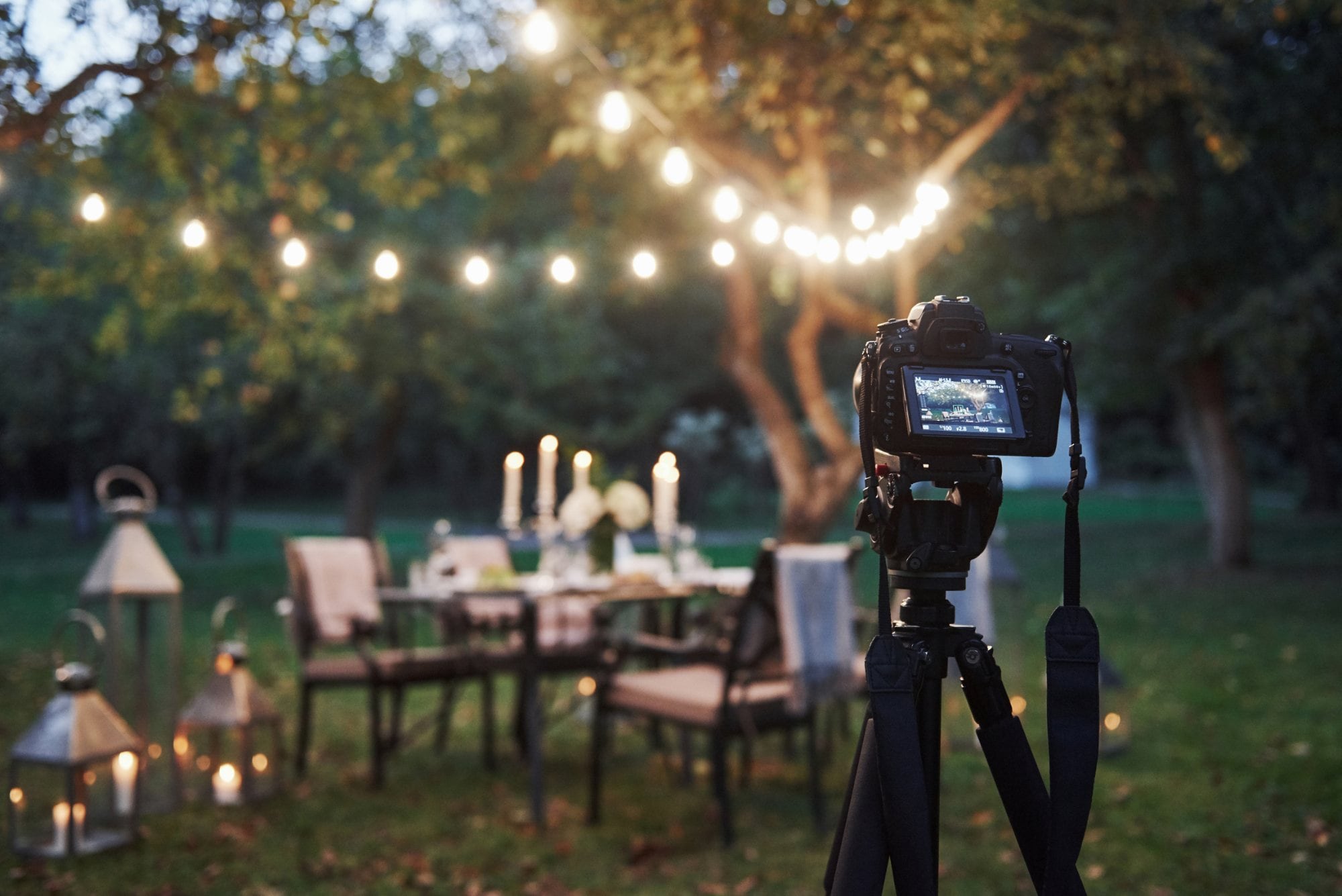 The Impact of Visual Content on Customer Trust